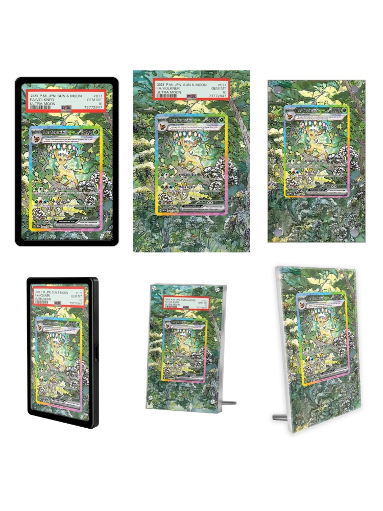 Pokemon-Karten Display PTCG Le – Display Case Acrylic Bewertung und Preis